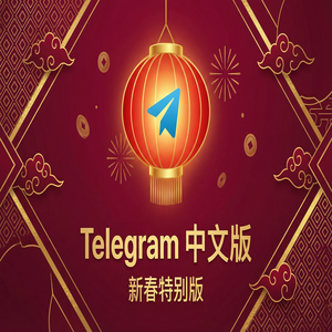 Telegram 汉化版如何购买Premium会员？支付方式汇总 - Telegram 官网